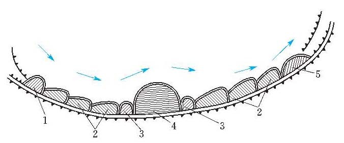 护岸埽示意图：1为磨盘埽、藏头埽；2为鱼鳞埽；3为耳子埽；4为磨盘埽；5为月牙埽、护尾埽